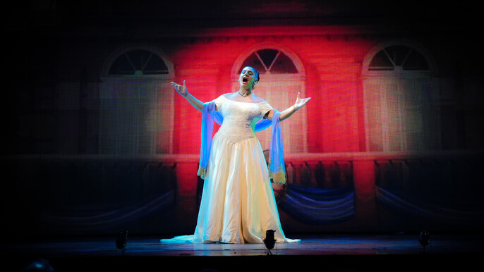Madero Tango Experience: Show and Dining on Request