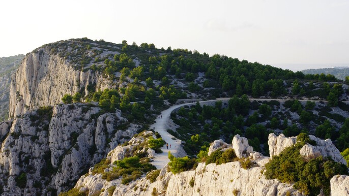 MSC World Europa 15th May 2026 5 Port Tour