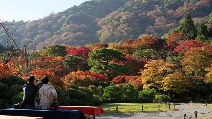 Kyoto's Arashiyama Bamboo Grove: 3-Hour Guided Tour