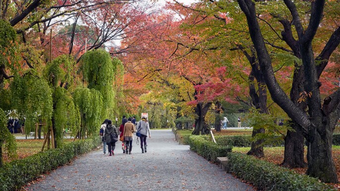 Kyoto Imperial Palace & Nijo Castle Small Group Guided Walking Tour