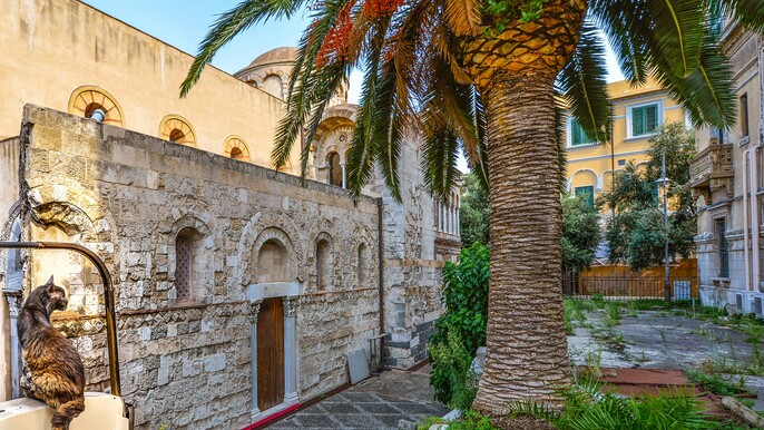 Disney Dream 30th May 2026 4 Port Tour