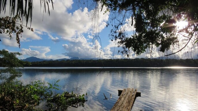 BO-RUR-04: Rurrenabaque | Jungle & Pampas 5D/4N: Exploring the Wild of the Amazon Forest