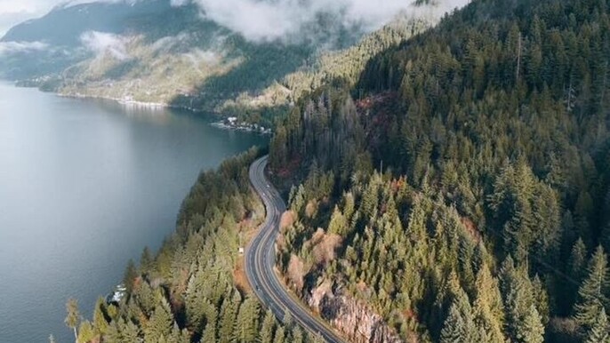Luxury Private Tour of Sea to Sky Gondola and Shannon Falls