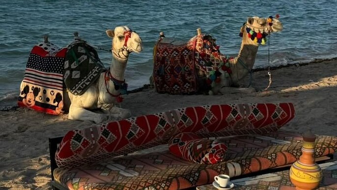 2025/9/27/qOwgCrn6ALJDtv9sk71M.jpg