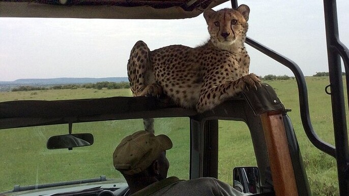 3 Days Masai Mara Budget Camping Safari on 4X4 Land Cruiser