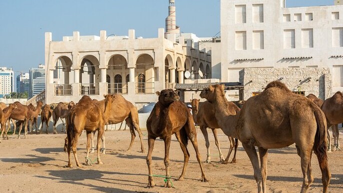 2 Days Qatar Highlights Cultural and Natural Wonders Tour