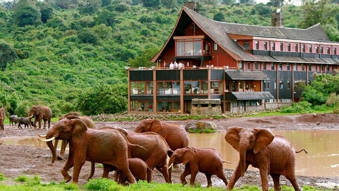 5 Day Aberdares Ol Pejeta and Samburu Safari on 4x4 Jeep