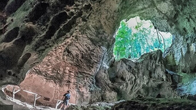 Los Haitises National Park & Montaña Redonda Day Tour