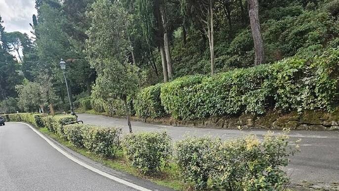 2025/9/30/tsF9BKt683DNuAyHP6Lv.jpg