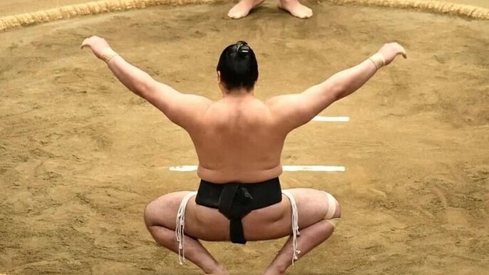 (M) Shinjuku Sumo Show with Drinks and Photo