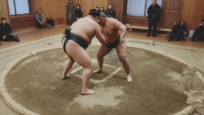 Tokyo: Shinjuku Sumo Show & Experience with Drinks and Photo