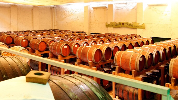 Balsamic Vinegar Tasting & Vintage Car Museum near Modena