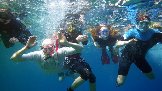 Private Abu Dabbab Snorkeling with Turtles Adventure - Marsa Alam