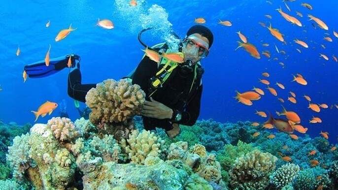 Hamata/Qulaan Islands Full Day Diving Sea Trip & Lunch-Marsa Alam