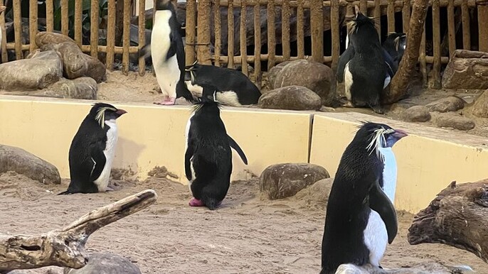 Robben Island & Aquarium Tour with Tickets & Transfers Included