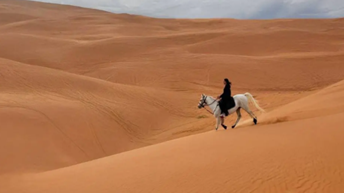 Riyadh: Horse riding experience for beginners with photography